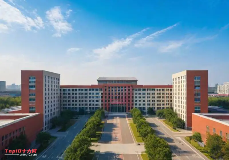 中国高等学校十大科技进展