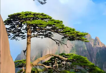 安徽旅游必去十大景点，探索皖南山水与文化