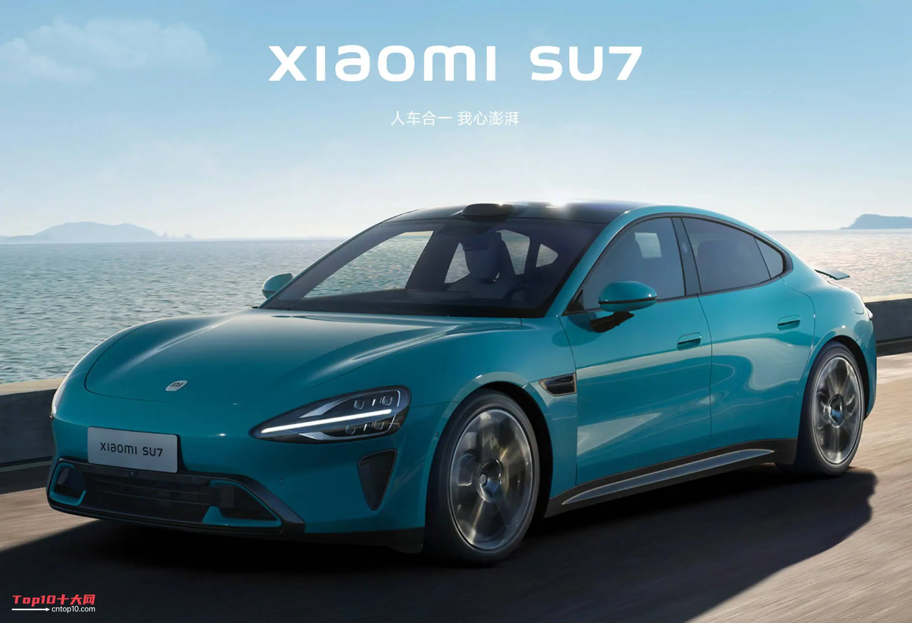 2025汽车人气排行榜，基于关注度与销量